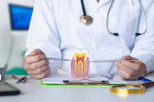 Best Emergency Orthodontic Repairs in Henryville, IN